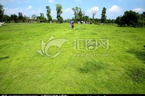 青青青草国产视频,国产视频中的青春记忆与成长轨迹